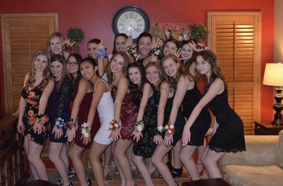 Students engage in taking pictures before attending the annual Gala.
Top row(left to right): Madeline Peterson, Makayla Steinberg, Iza Bencis, Yuna Park, Tamara Blagogevich, and Katie Welborn
Bottom row(left to right): Megan Schrimpf, Maddy Struck, Mackena Luger, Sydney Bui, Maddie Enman, Tori Whales, Megan Morrissey, Sophie Bruce, and Morgan Peterson