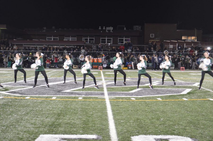 The dance team performs for the IHSA playoff game against Cary Grove. 
