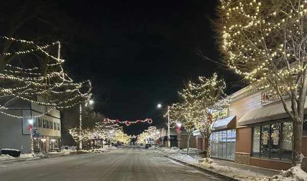 Lights hang on the trees on Center Street in downtown Grayslake, which makes a beautiful place to walk even with the cold chill. 