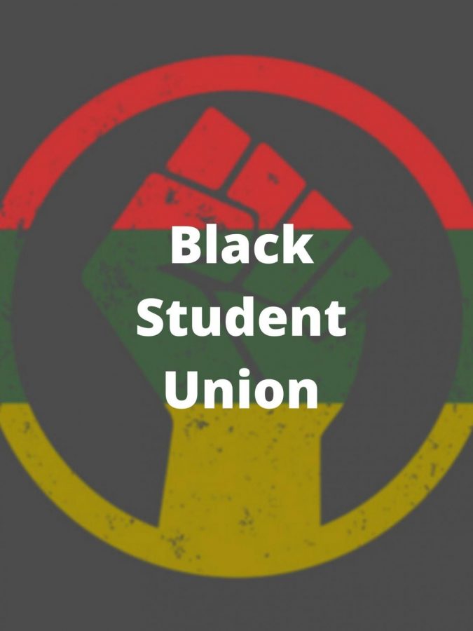 On this Black Student Union logo, the fist means Black power and symbolizes black people coming together to make change